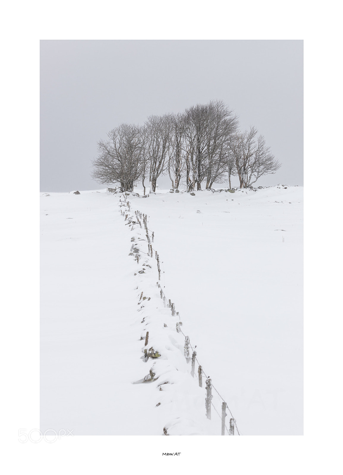 Canon EOS 6D Mark II sample photo. Fence and trees photography