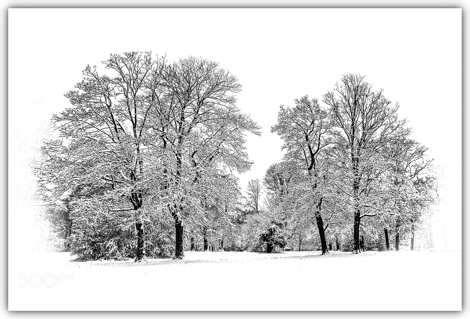 Fujifilm X-T2 sample photo. Winter photography