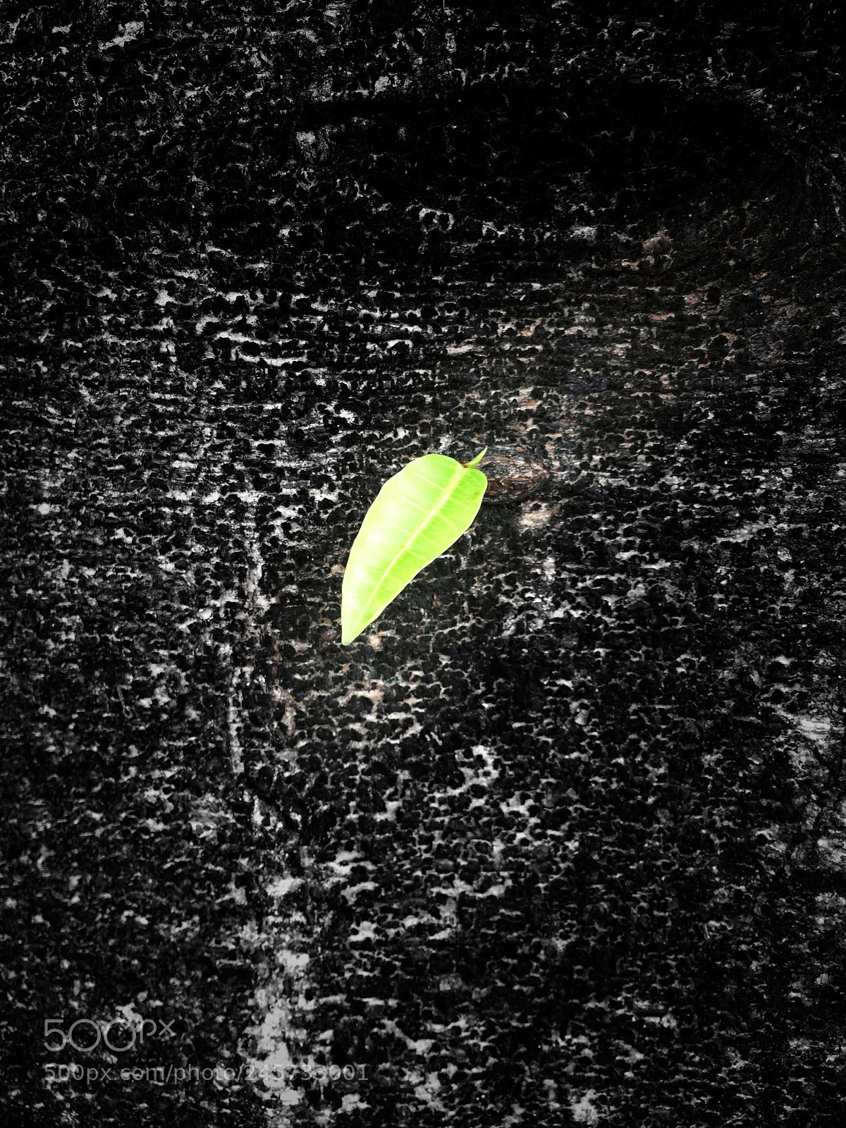 Apple iPhone 5s sample photo. Vite. photography