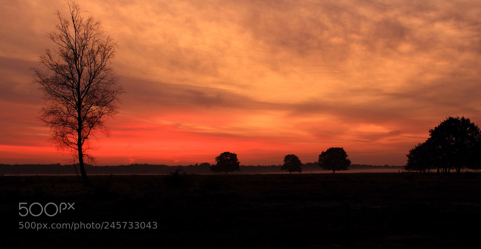 Canon EF-S 18-135mm F3.5-5.6 IS sample photo. Dwingelderveld zonopkomst photography