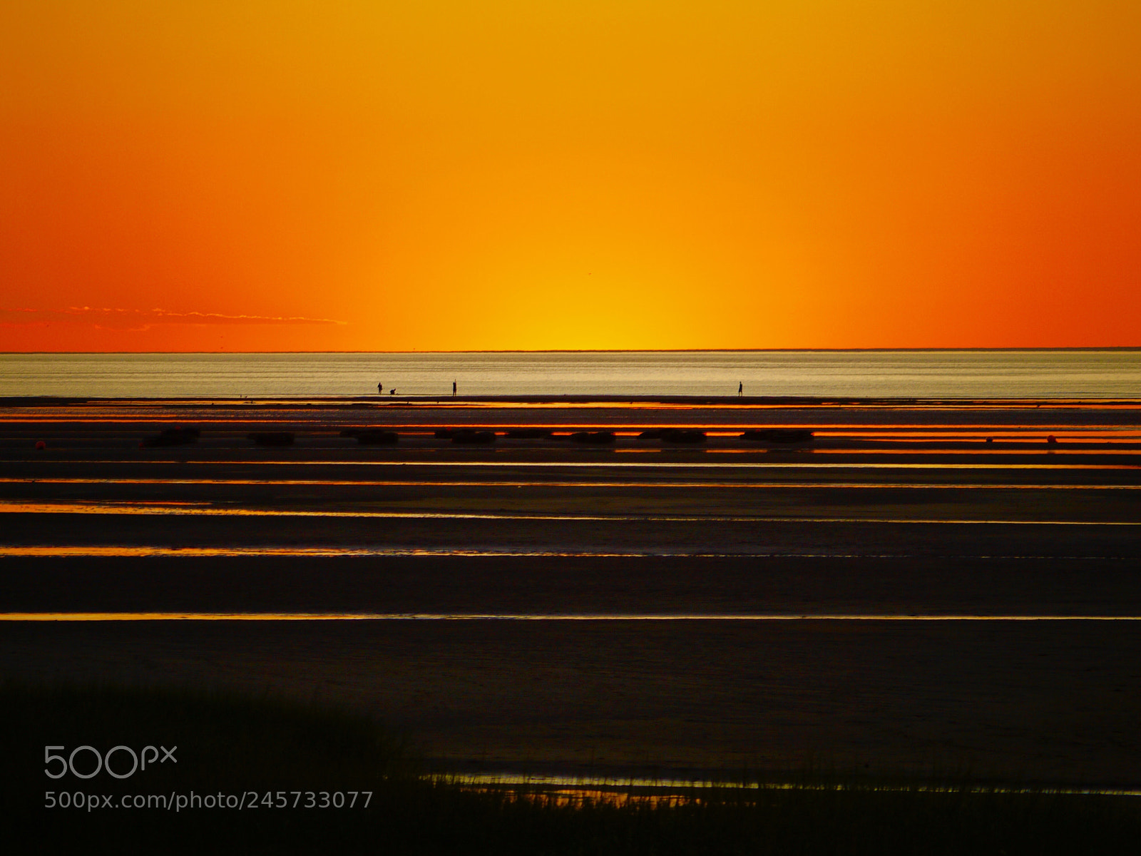 Panasonic Lumix DMC-GF1 sample photo. Tequila sunset. photography