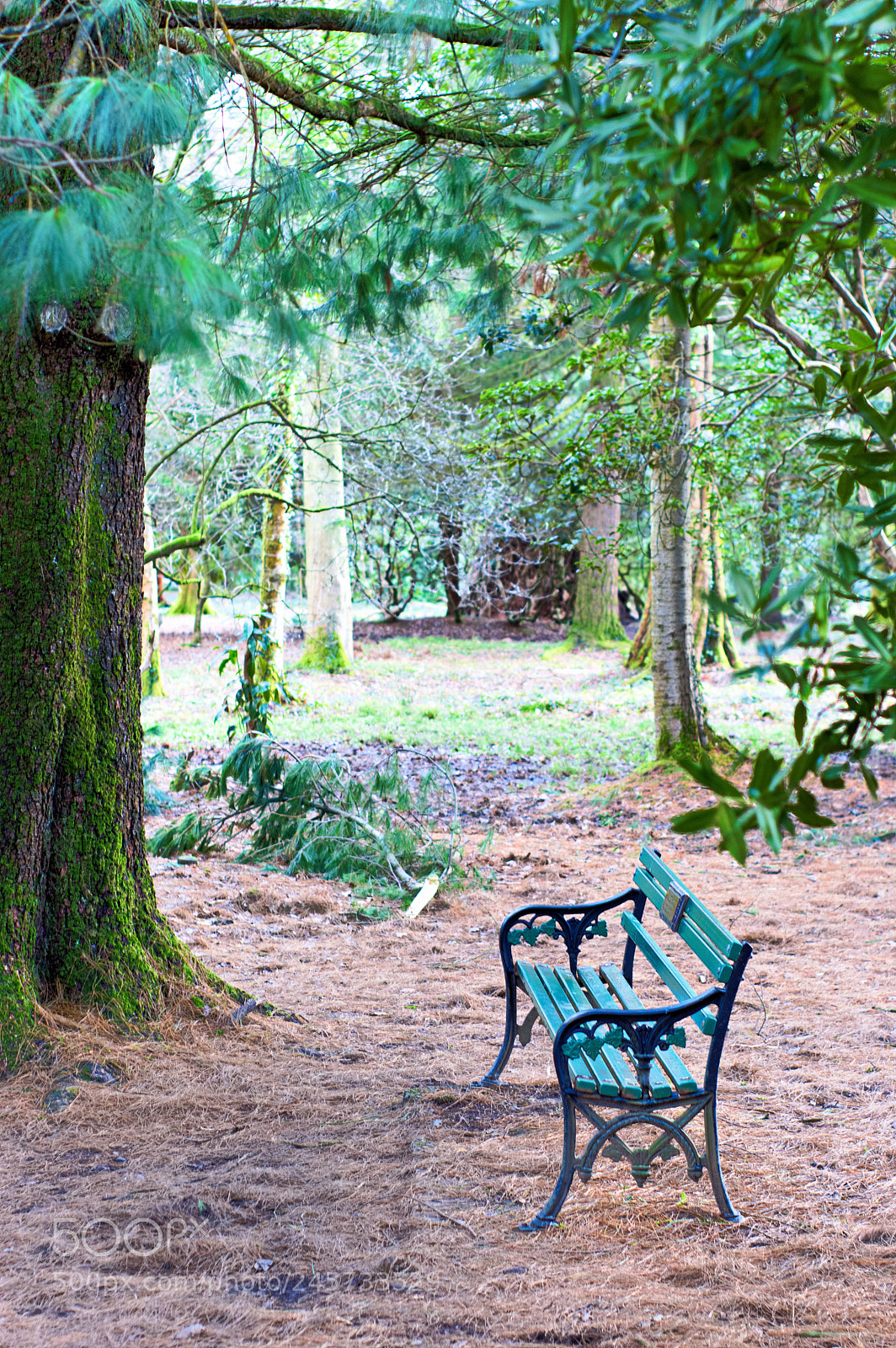 Nikon D3200 sample photo. A place to rest photography
