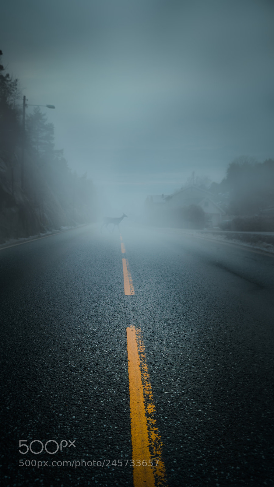 Sony SLT-A68 sample photo. Misty road photography