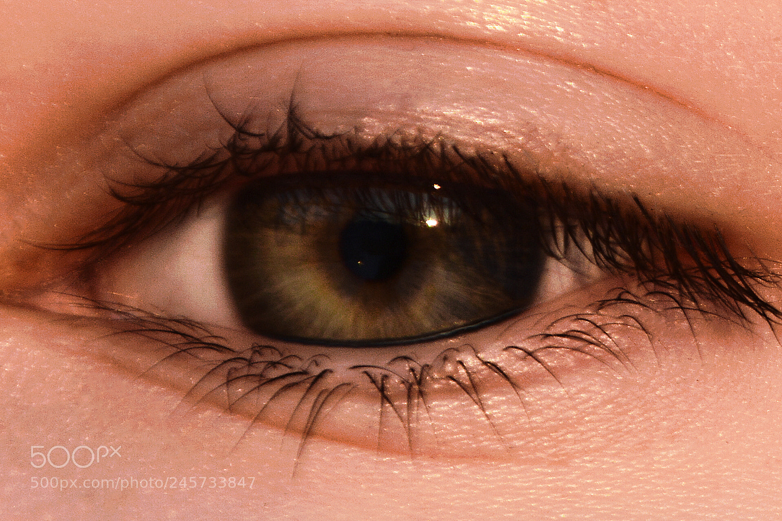 Nikon D5200 sample photo. Csc photography