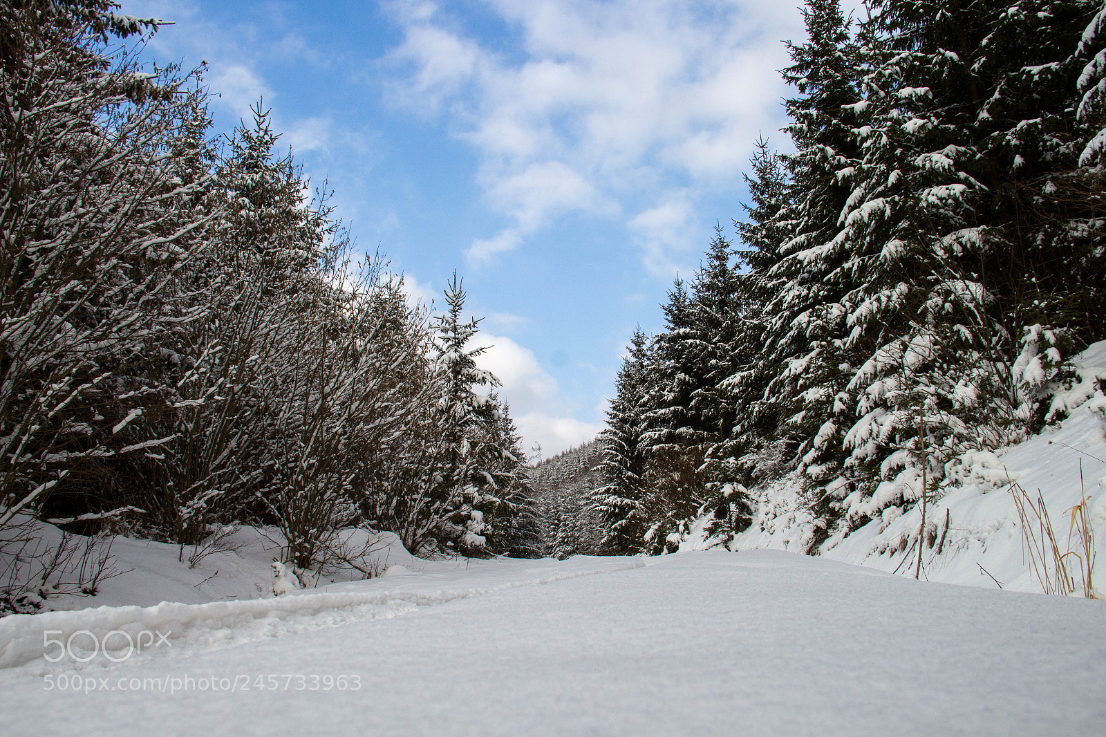 Canon EOS 700D (EOS Rebel T5i / EOS Kiss X7i) sample photo. Snowy day photography