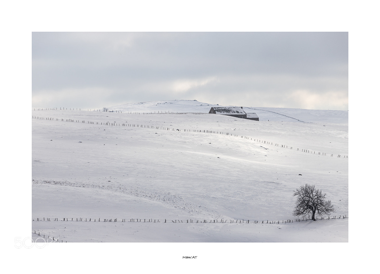 Canon EOS 6D Mark II sample photo. Aubrac photography