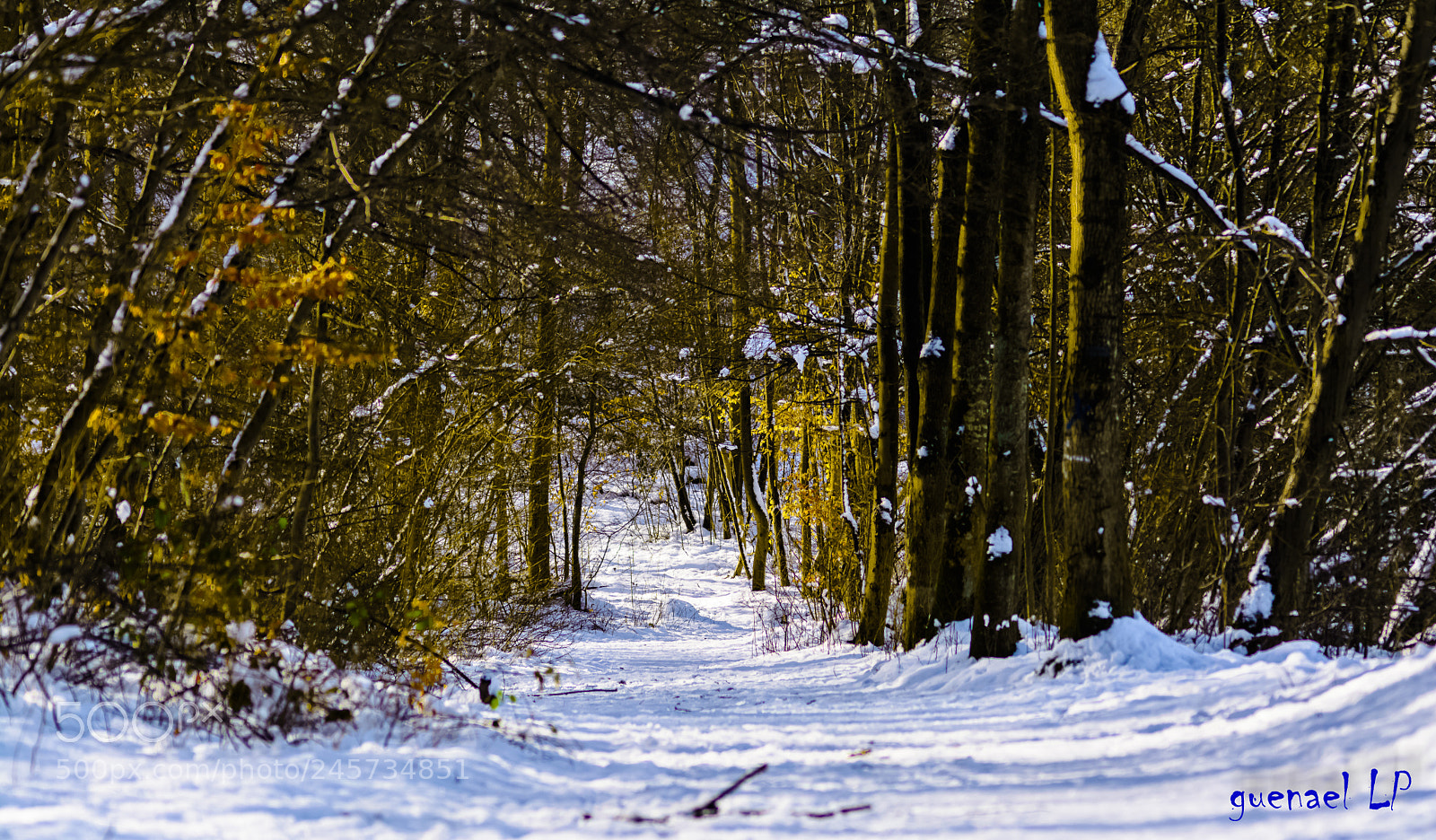 Nikon D5200 sample photo. Prise de vue sans photography