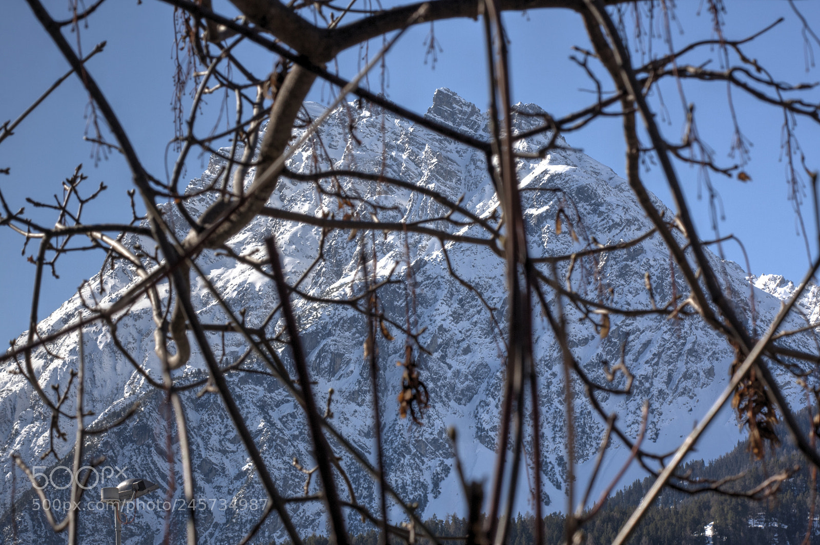 Canon EOS 40D sample photo. Balanced photography