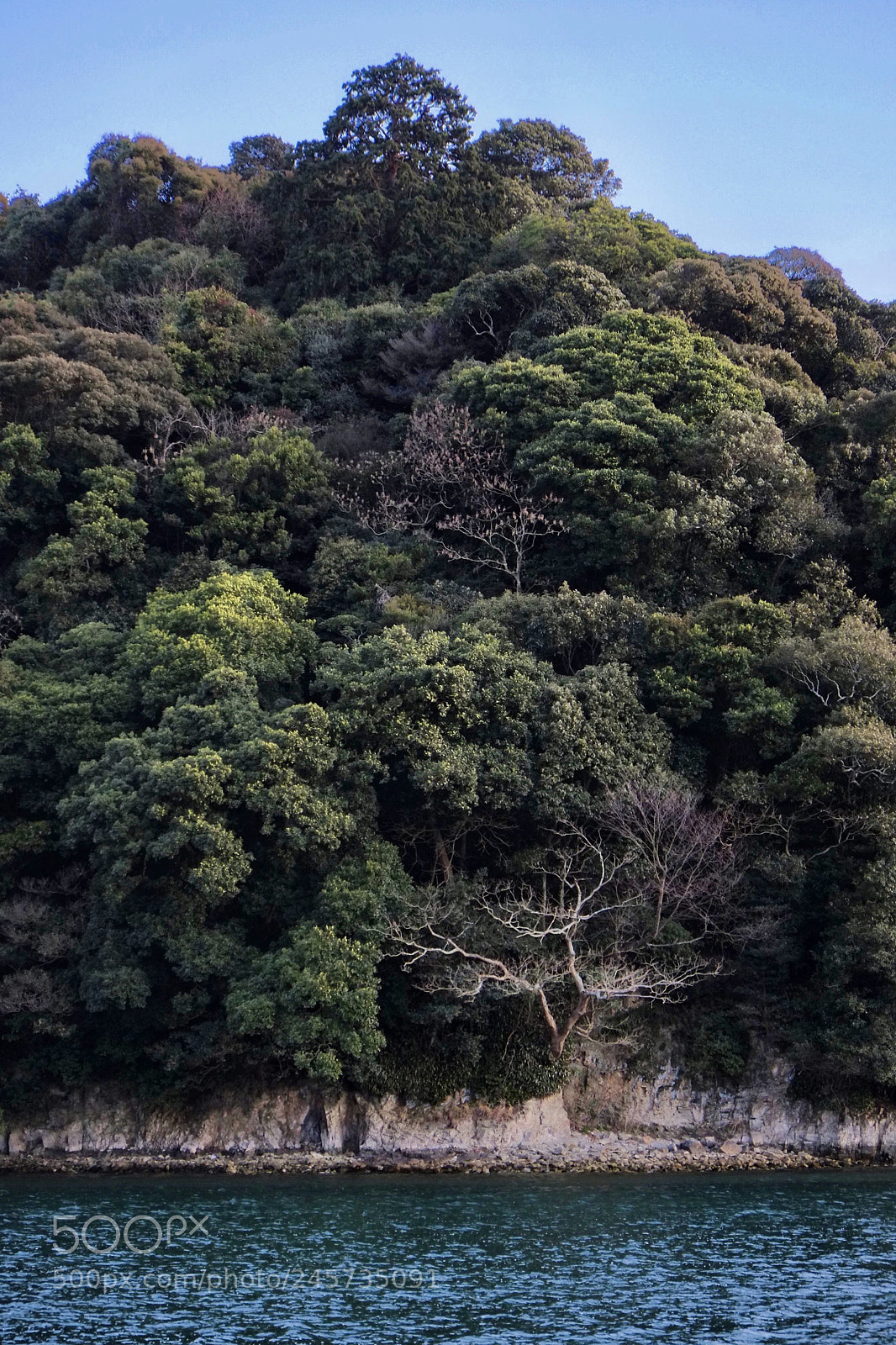 Fujifilm X-Pro1 sample photo. Forbidden island photography