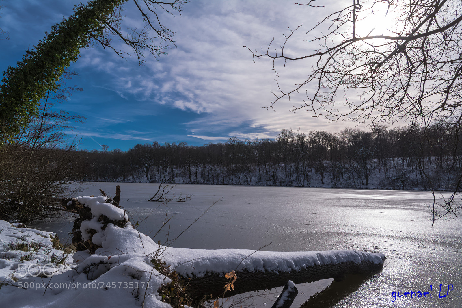 Nikon D5200 sample photo. Prise de vue sans photography