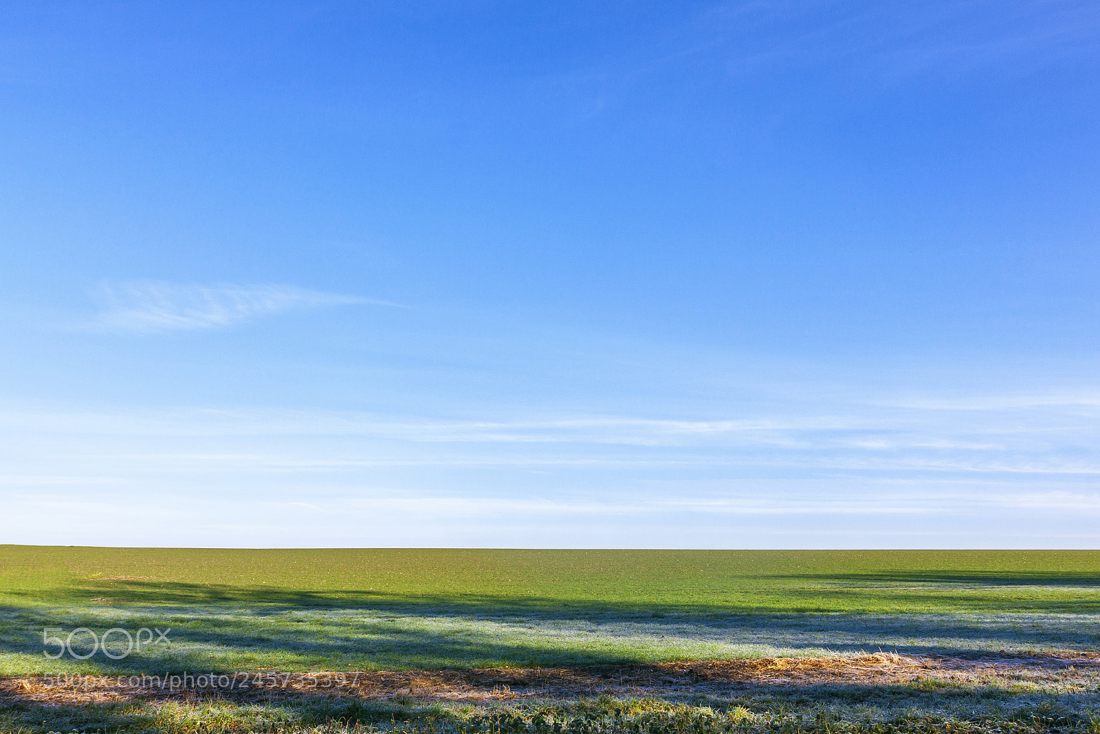 Canon EOS 50D sample photo. Calm day photography