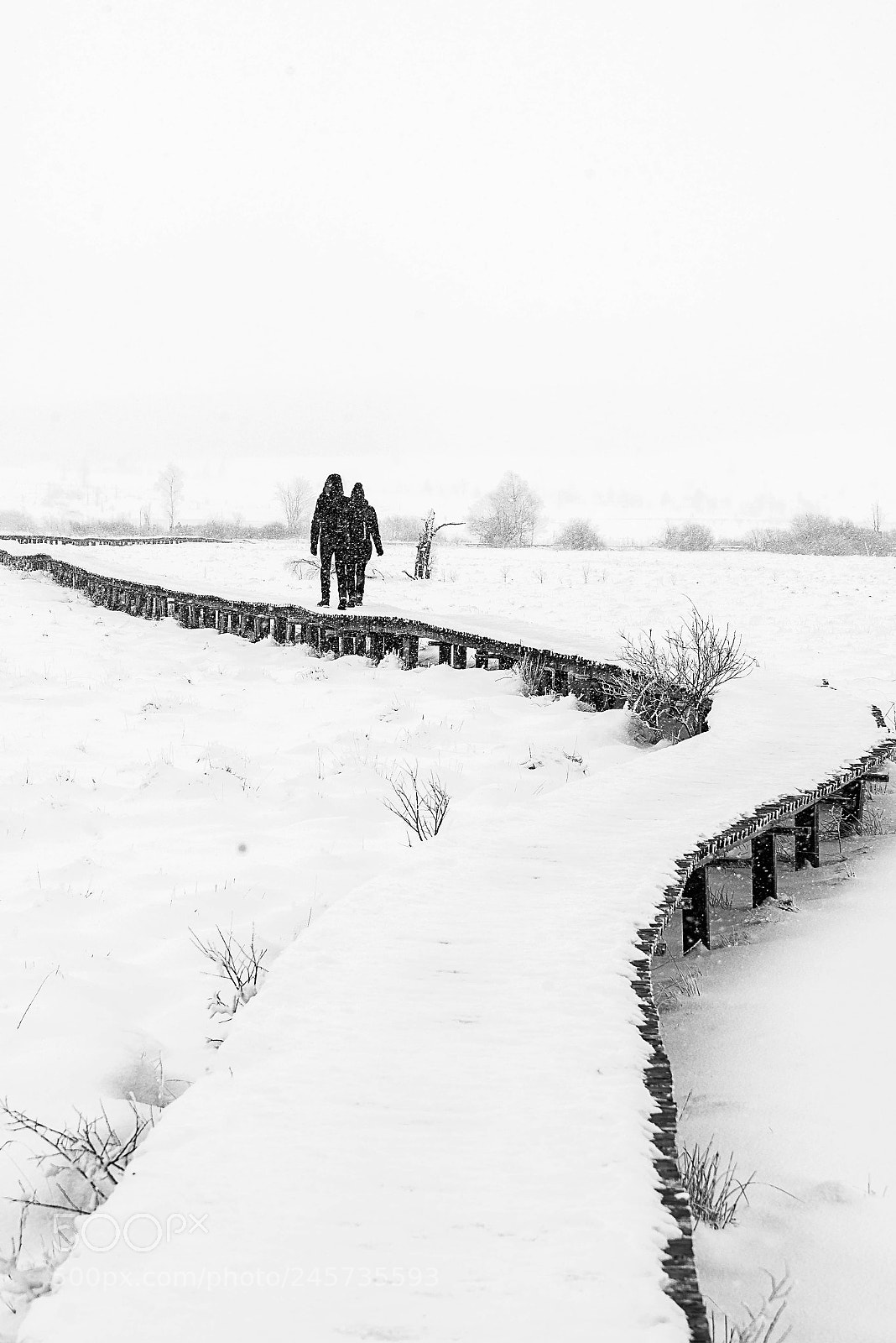 Nikon D610 sample photo. Walking in the snow photography