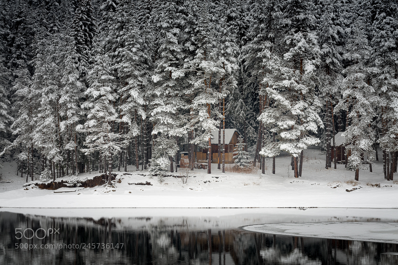 Nikon D600 sample photo. Cute cottage photography