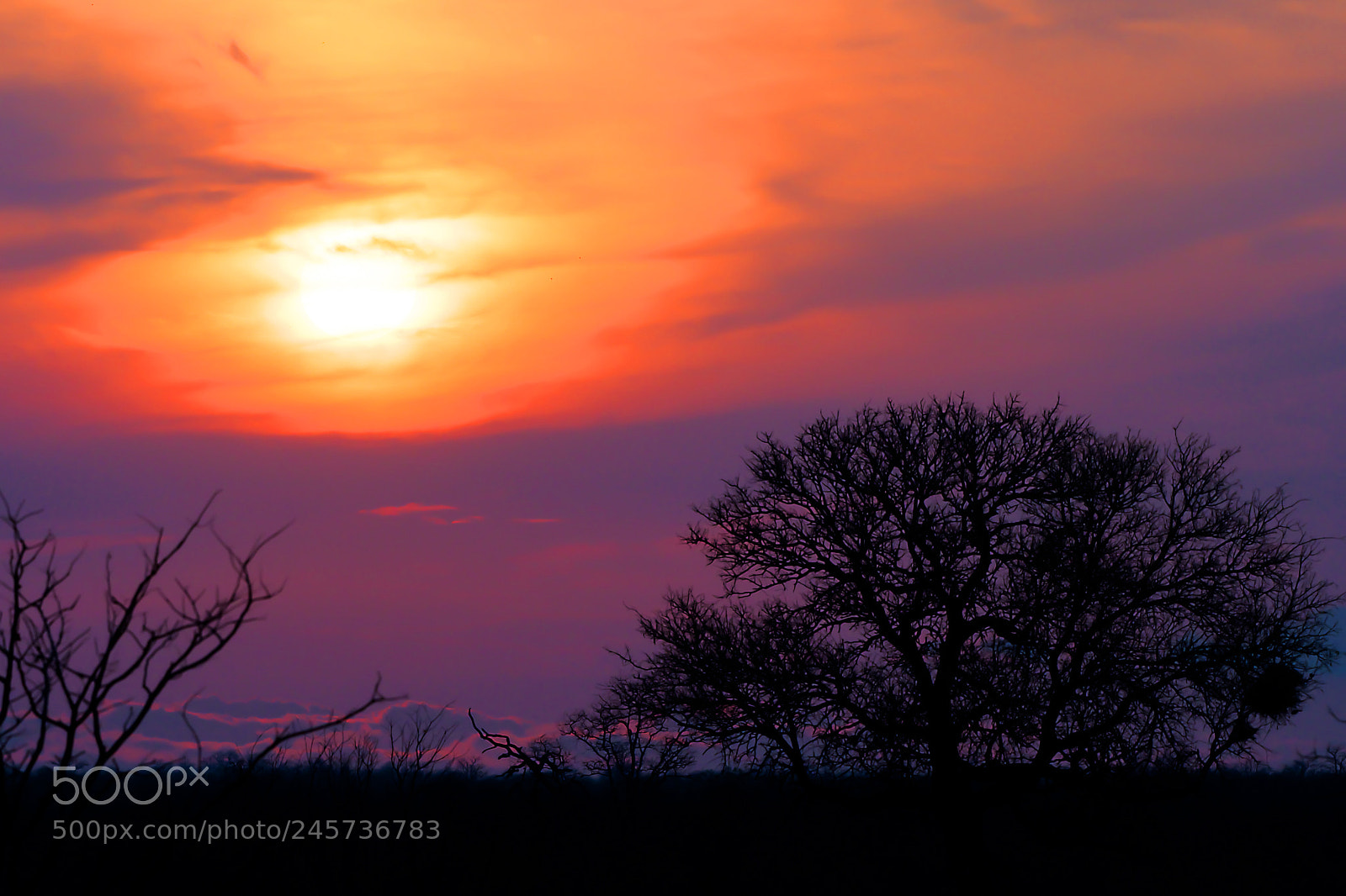 Nikon D500 sample photo. African sunset photography