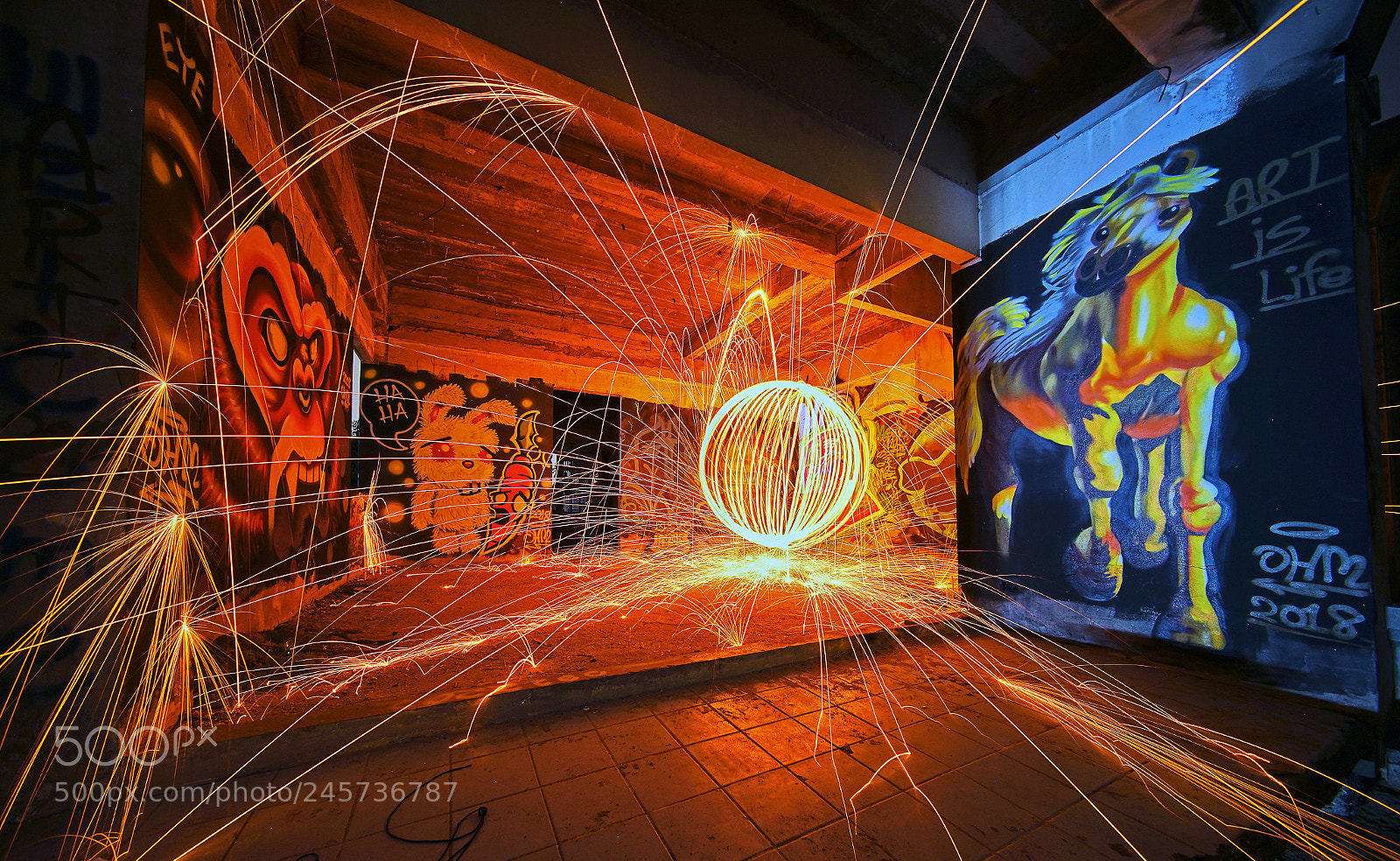 Sony a7 II sample photo. Steel wool fire ball photography