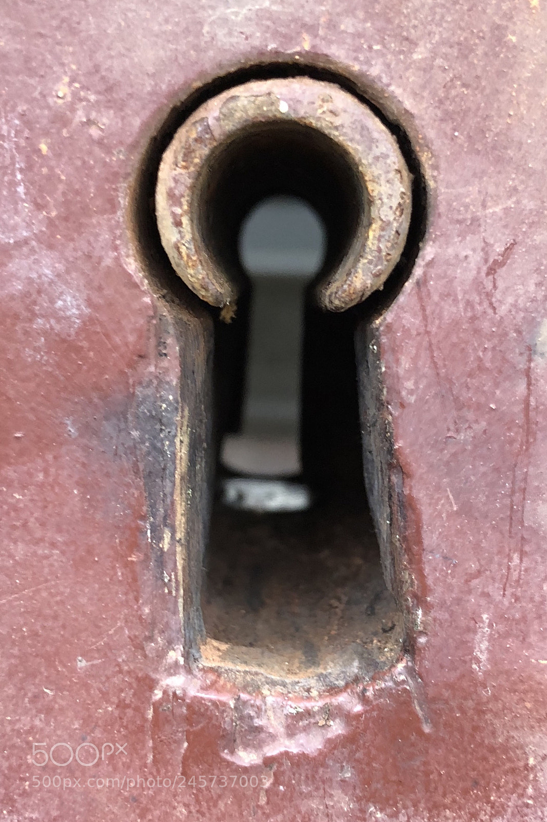 Apple iPhone X sample photo. Untitled photography