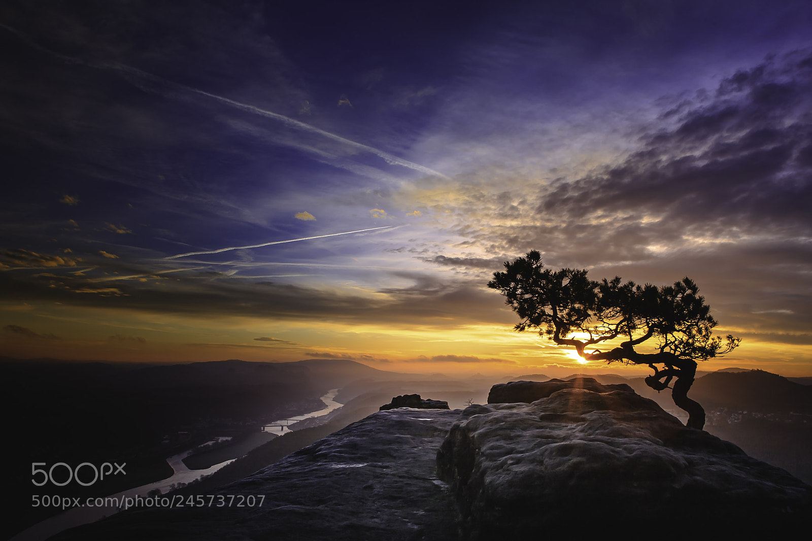 Canon EOS 5D sample photo. Sunrise at the pine photography