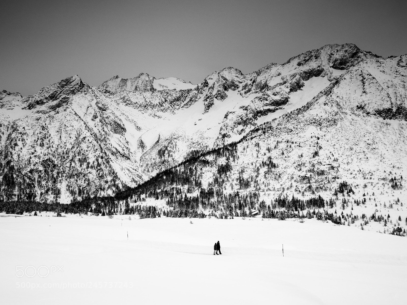 Olympus OM-D E-M5 II sample photo. Walking in the snow photography