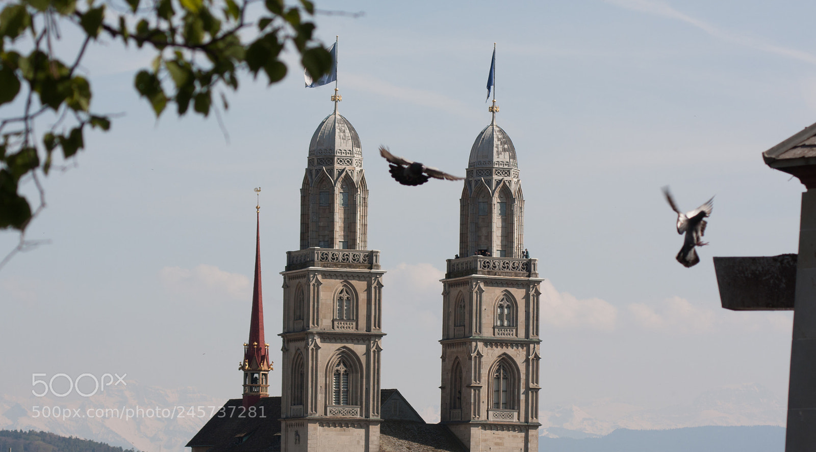 Canon EOS 40D sample photo. Pigeons in zurich photography