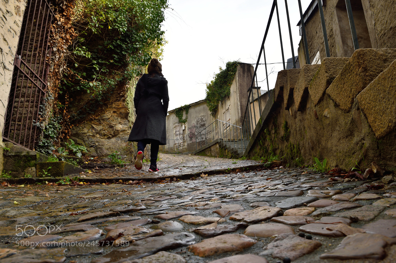 Nikon D5500 sample photo. Balade photography