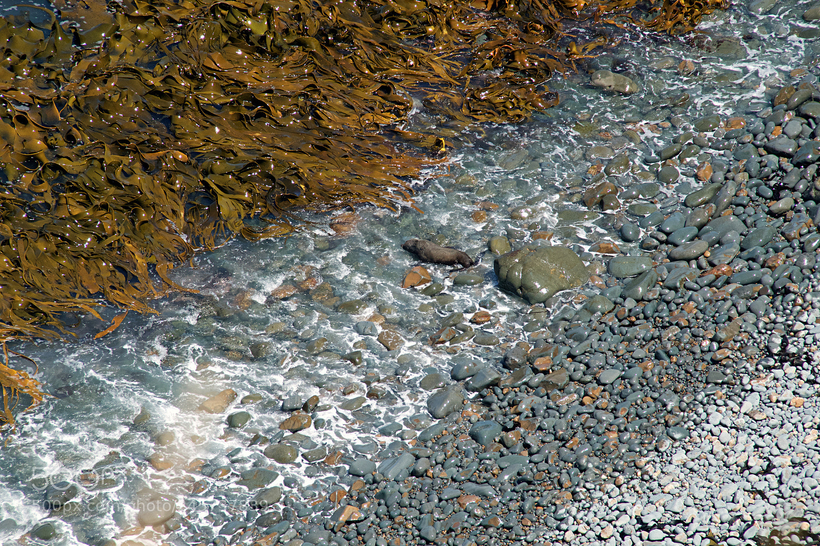 Sony SLT-A58 sample photo. Color stripes photography