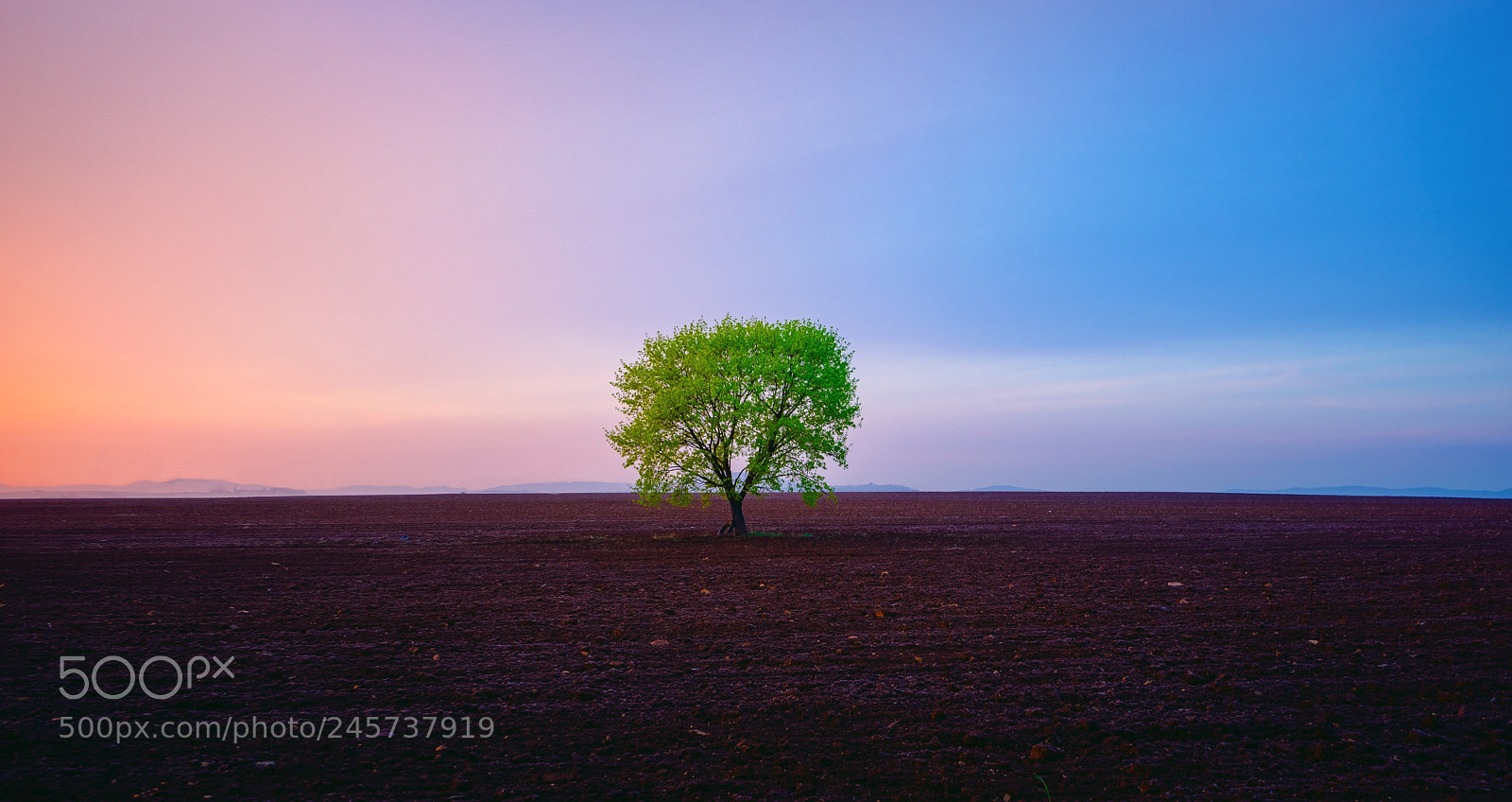 Sony a7 II sample photo. Alone photography