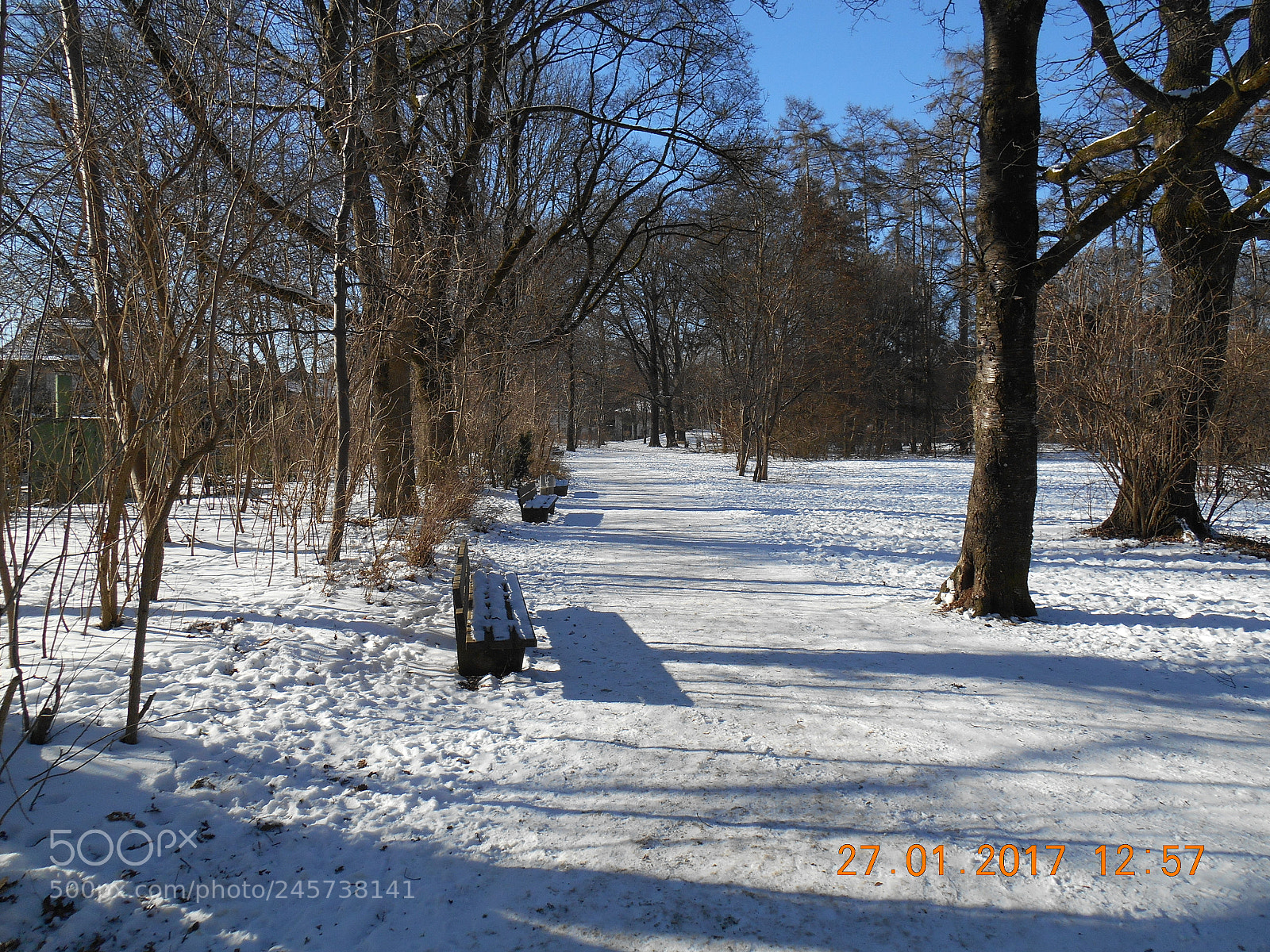 Nikon Coolpix S3500 sample photo. Park munchen photography