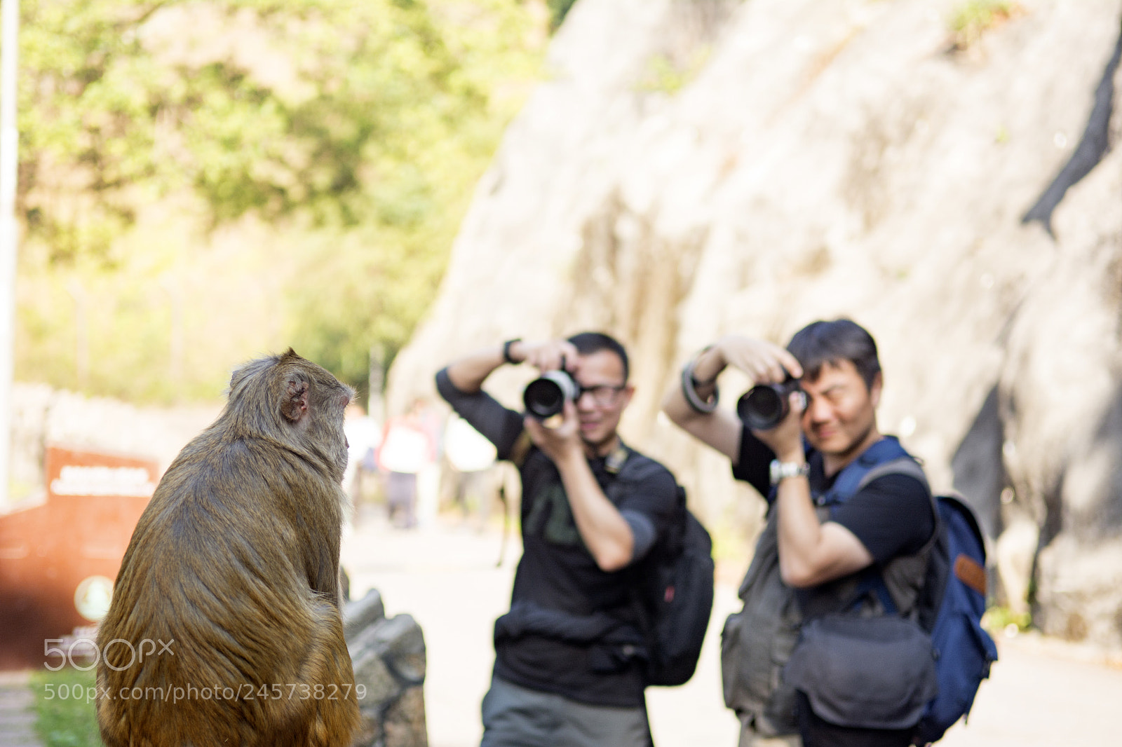 Nikon D7100 sample photo. Model photography