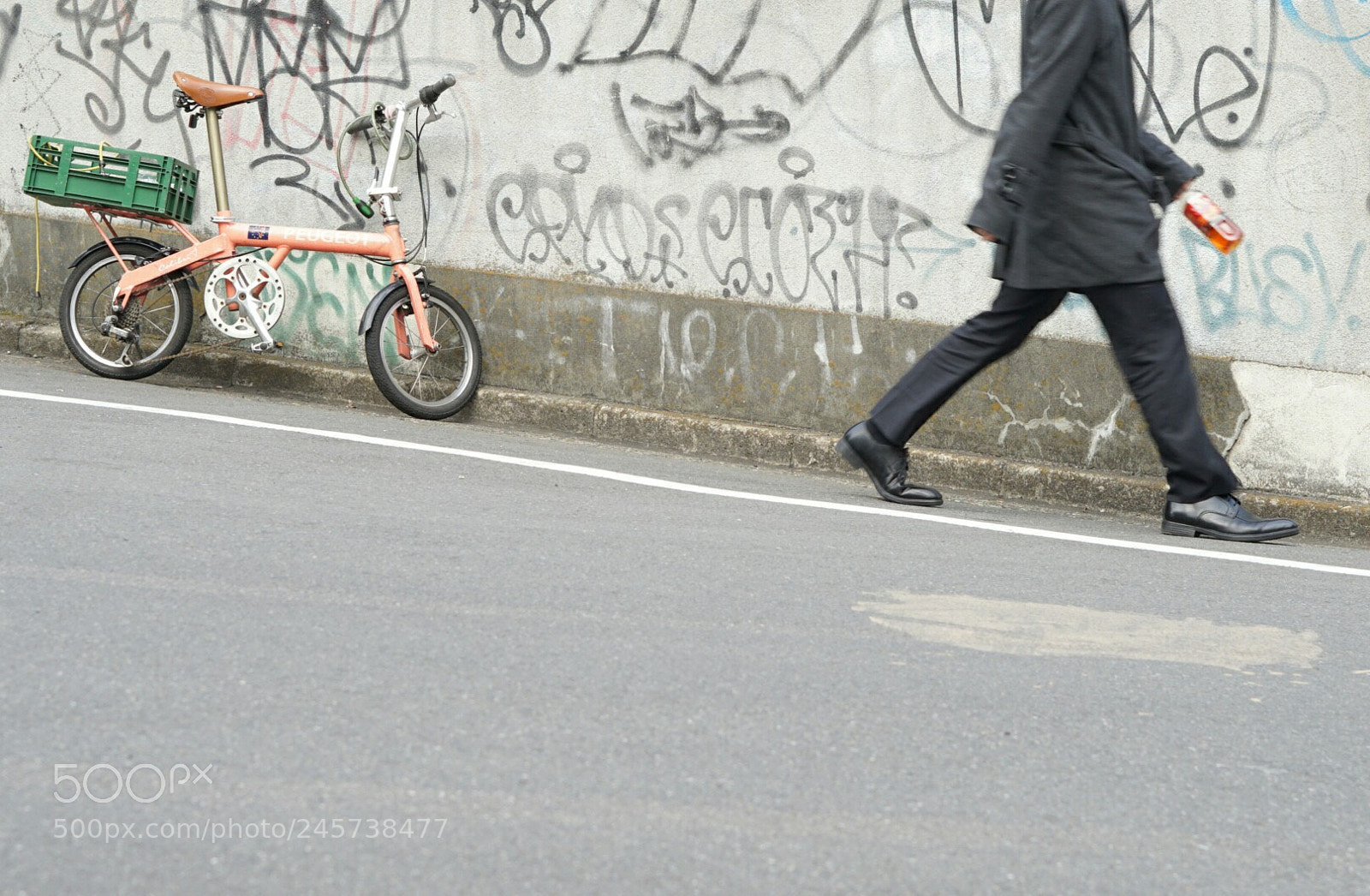 Sony a7 II sample photo. He and it. photography