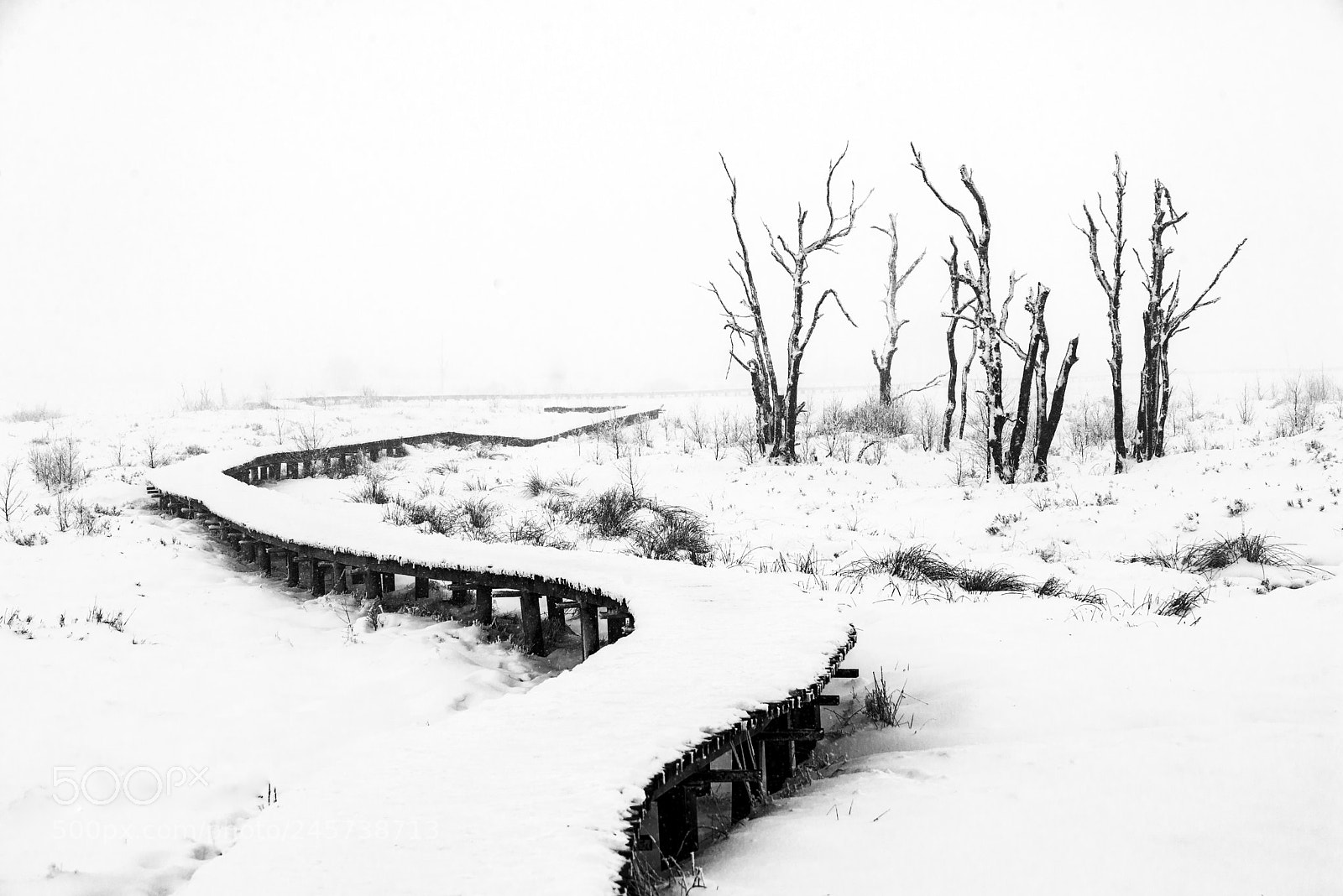 Nikon D610 sample photo. Deserted photography