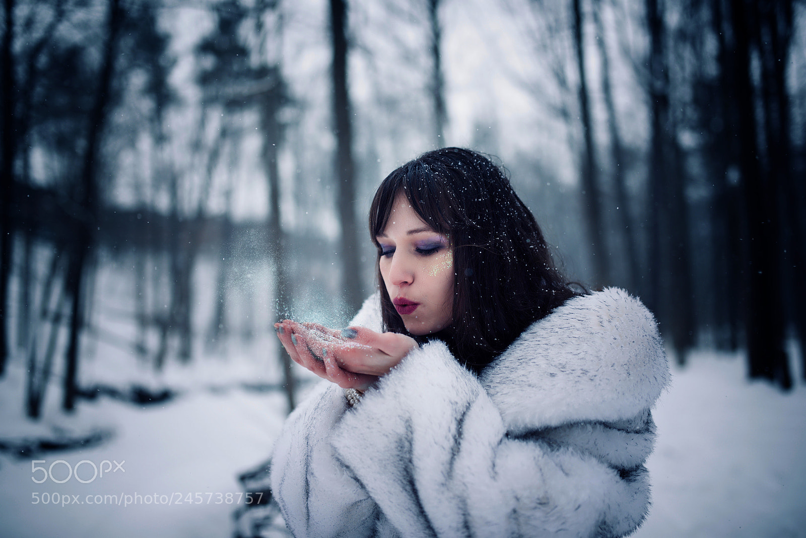 Nikon D610 sample photo. Winter wish photography