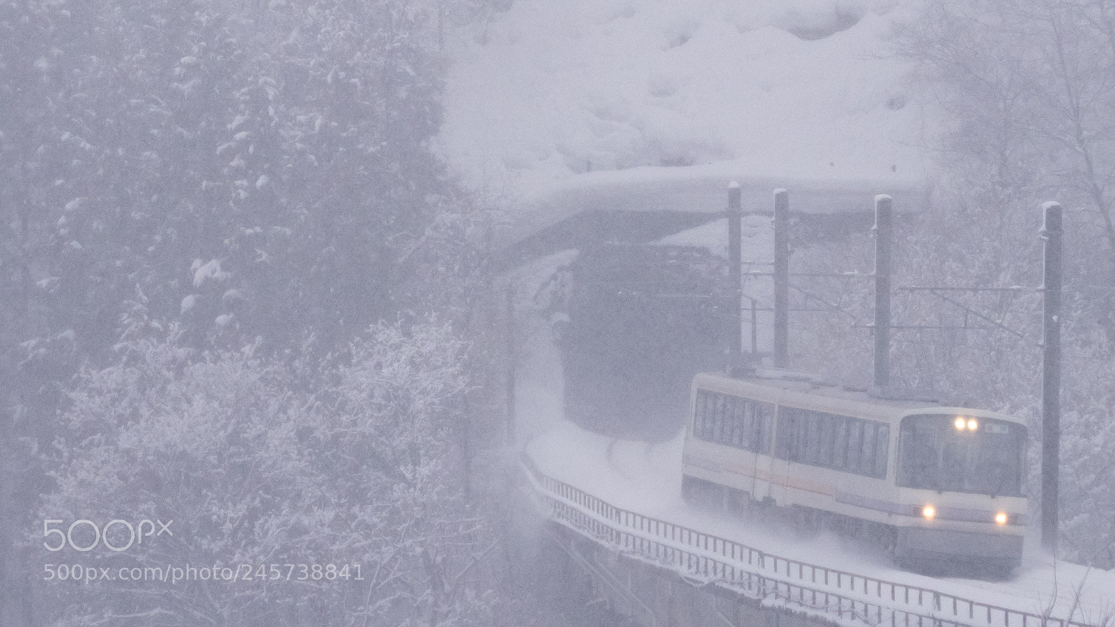 Olympus OM-D E-M1 sample photo. Under the blizzard photography