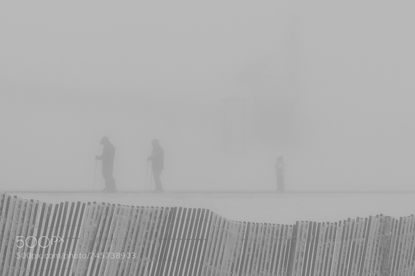 Canon EOS 650D (EOS Rebel T4i / EOS Kiss X6i) sample photo. Foggy day in the photography