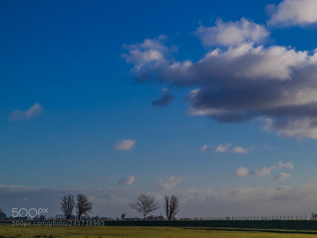 Olympus E-520 (EVOLT E-520) sample photo. Duifpolder photography