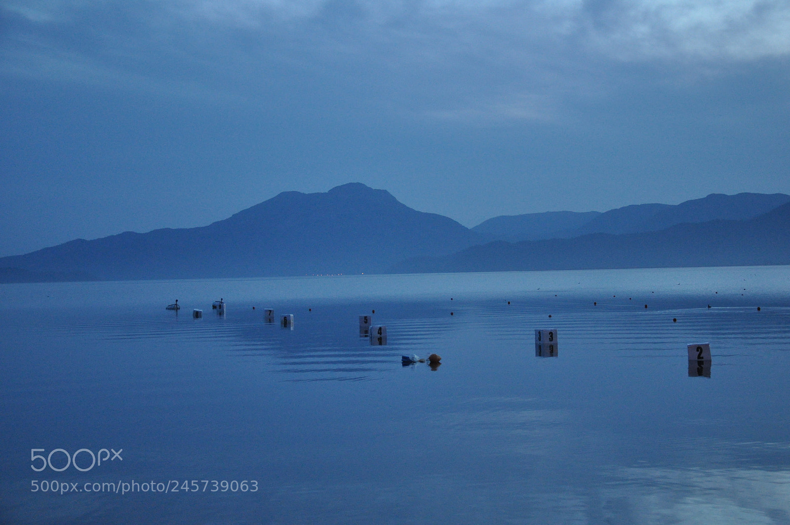 Nikon D90 sample photo. () photography