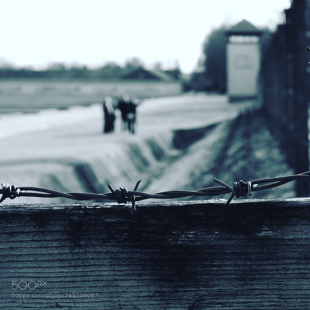 Nikon Coolpix P900 sample photo. Dachau nazi concentration camp photography