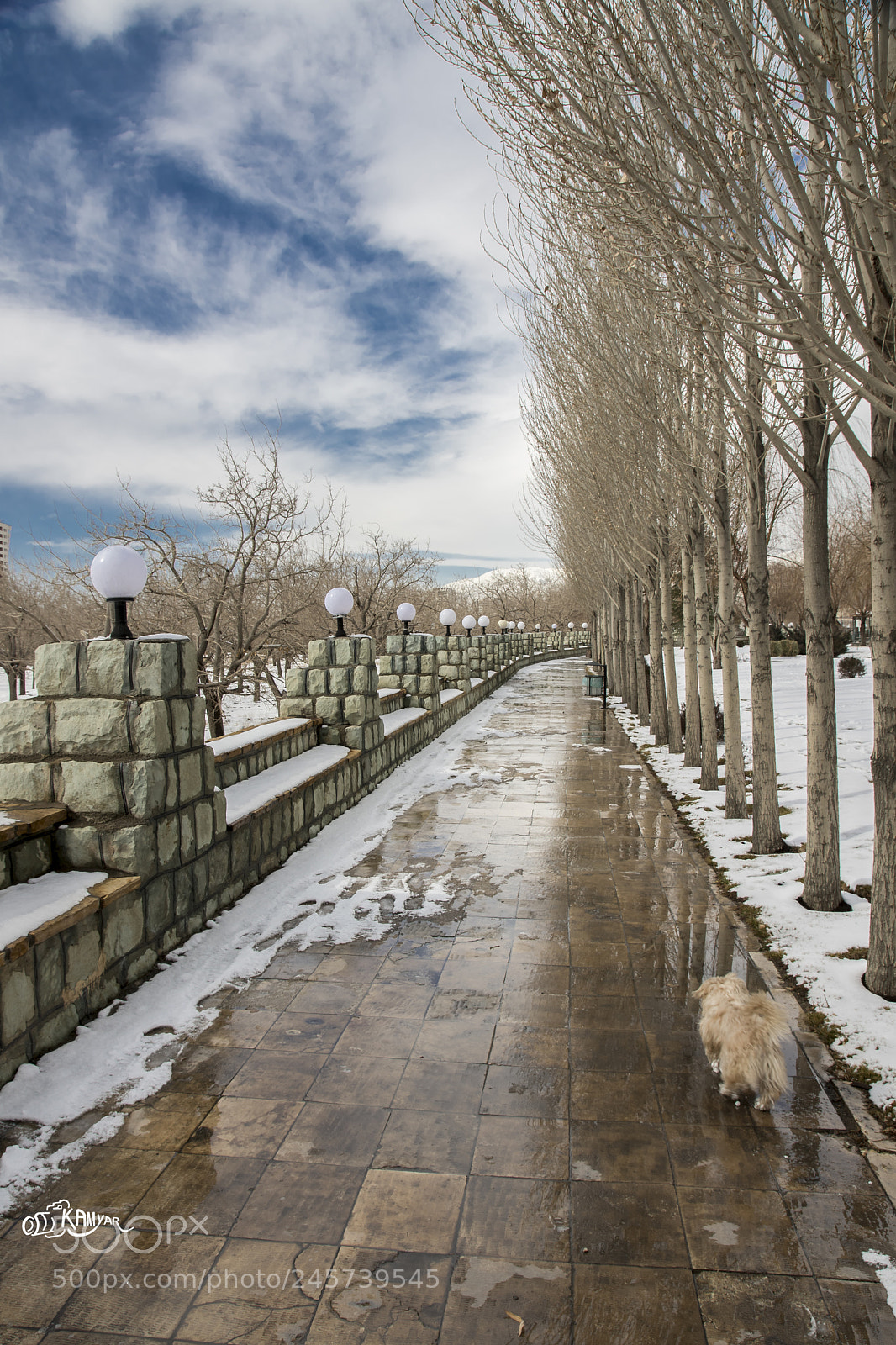 Nikon D7200 sample photo. Snow photography