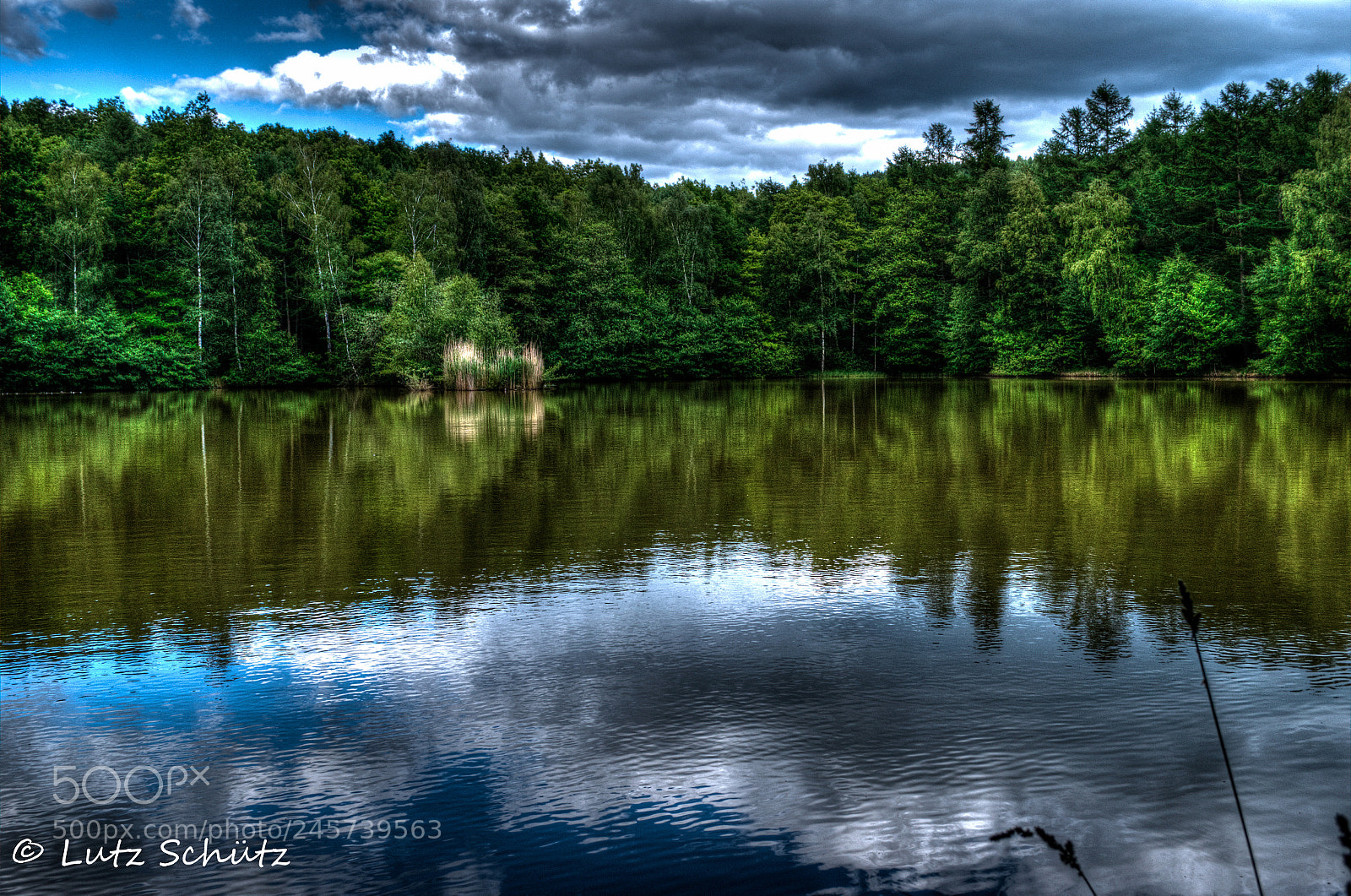 Nikon D5100 sample photo. Little lake in the photography