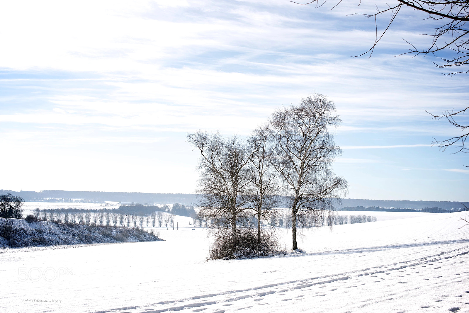 Nikon D800 sample photo. Neige en plaine. snow photography