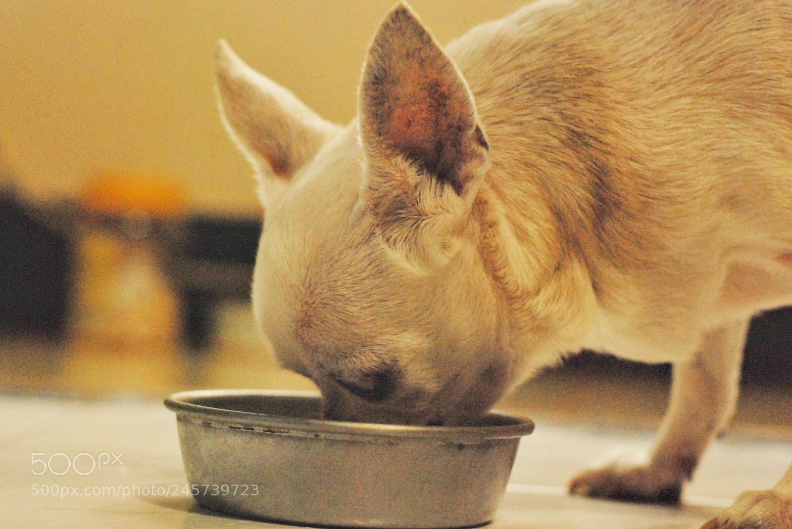 Nikon D80 sample photo. Untitled photography