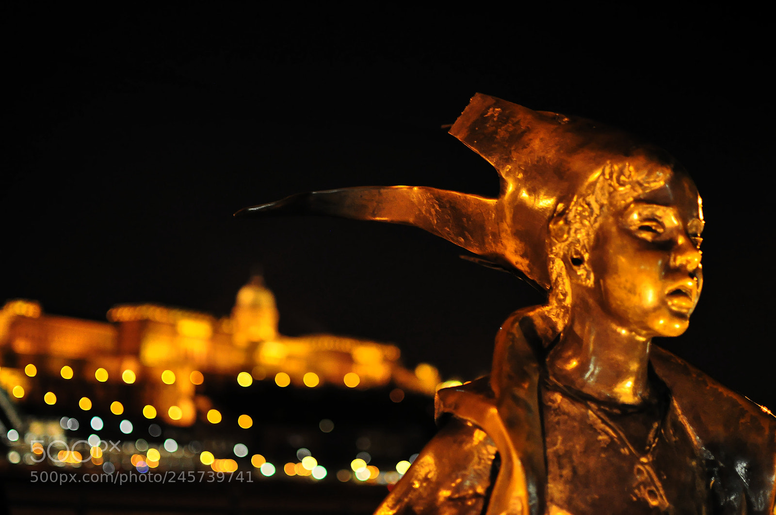 Nikon D90 sample photo. Golden statue photography