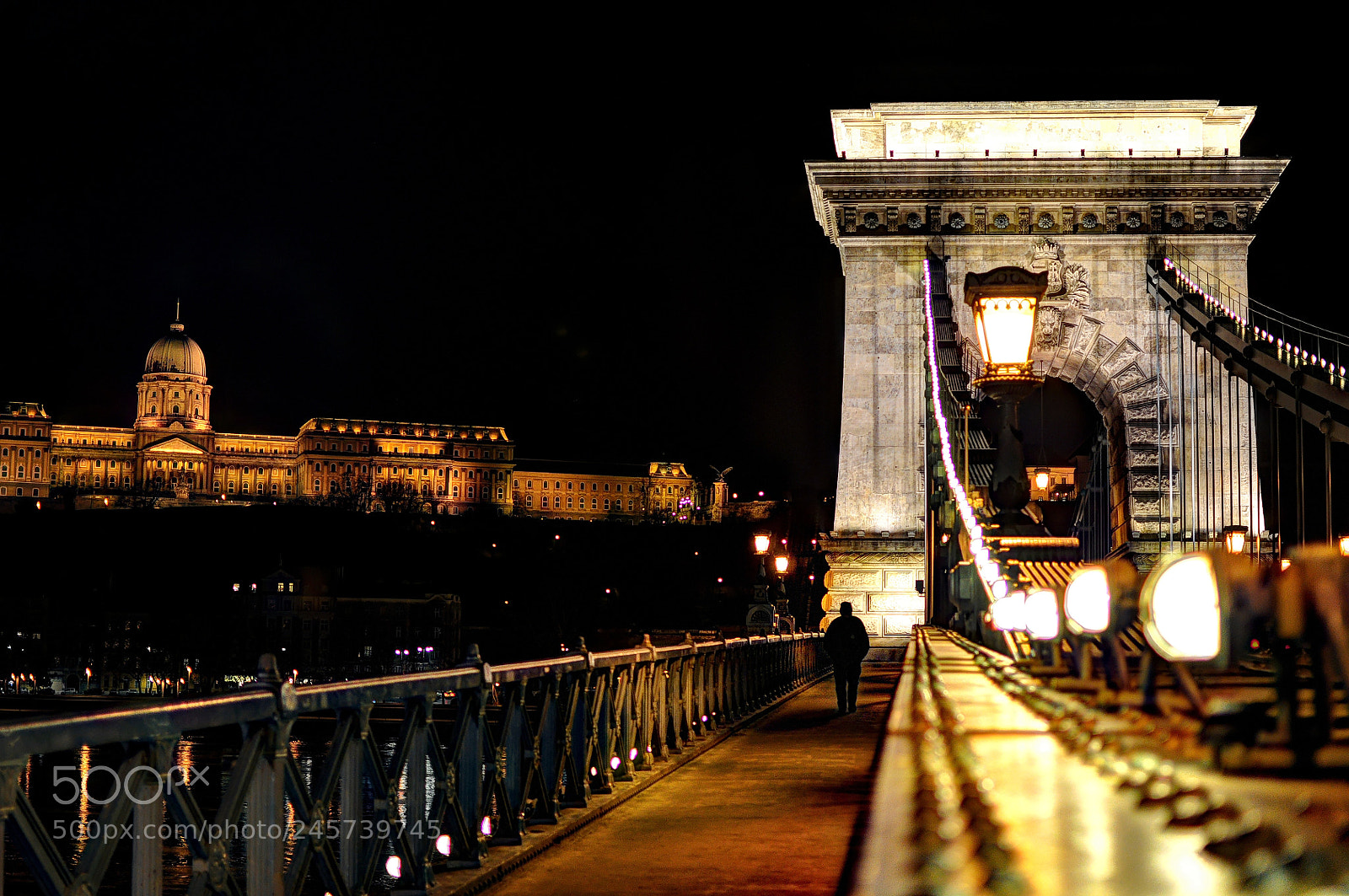 Nikon D90 sample photo. Chain of light bridge photography