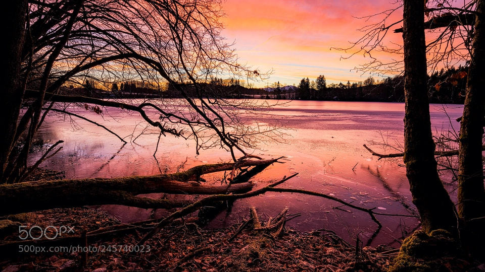 Sony a7R III sample photo. Red morning photography