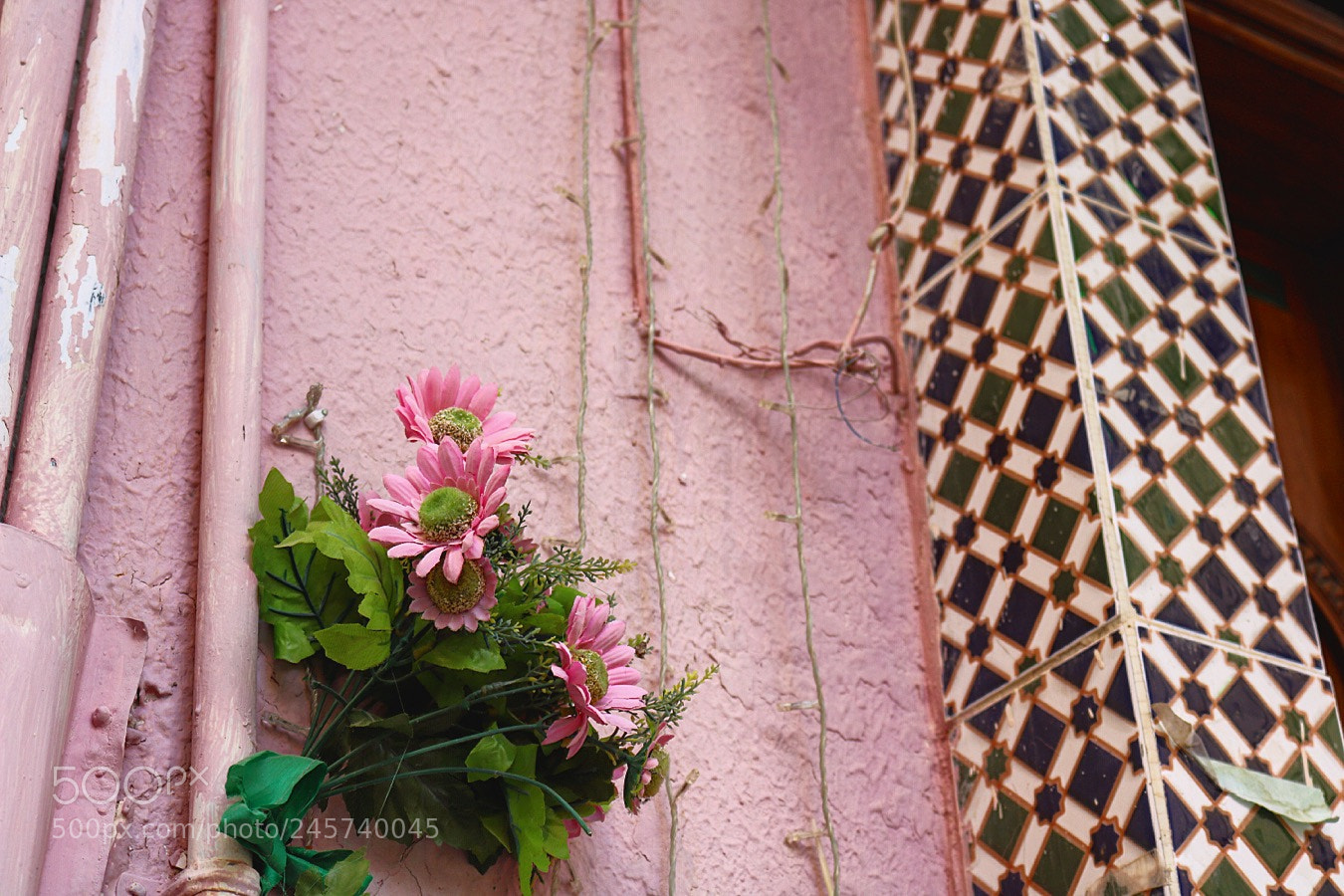 Canon EOS 750D (EOS Rebel T6i / EOS Kiss X8i) sample photo. There's beauty in everything. photography