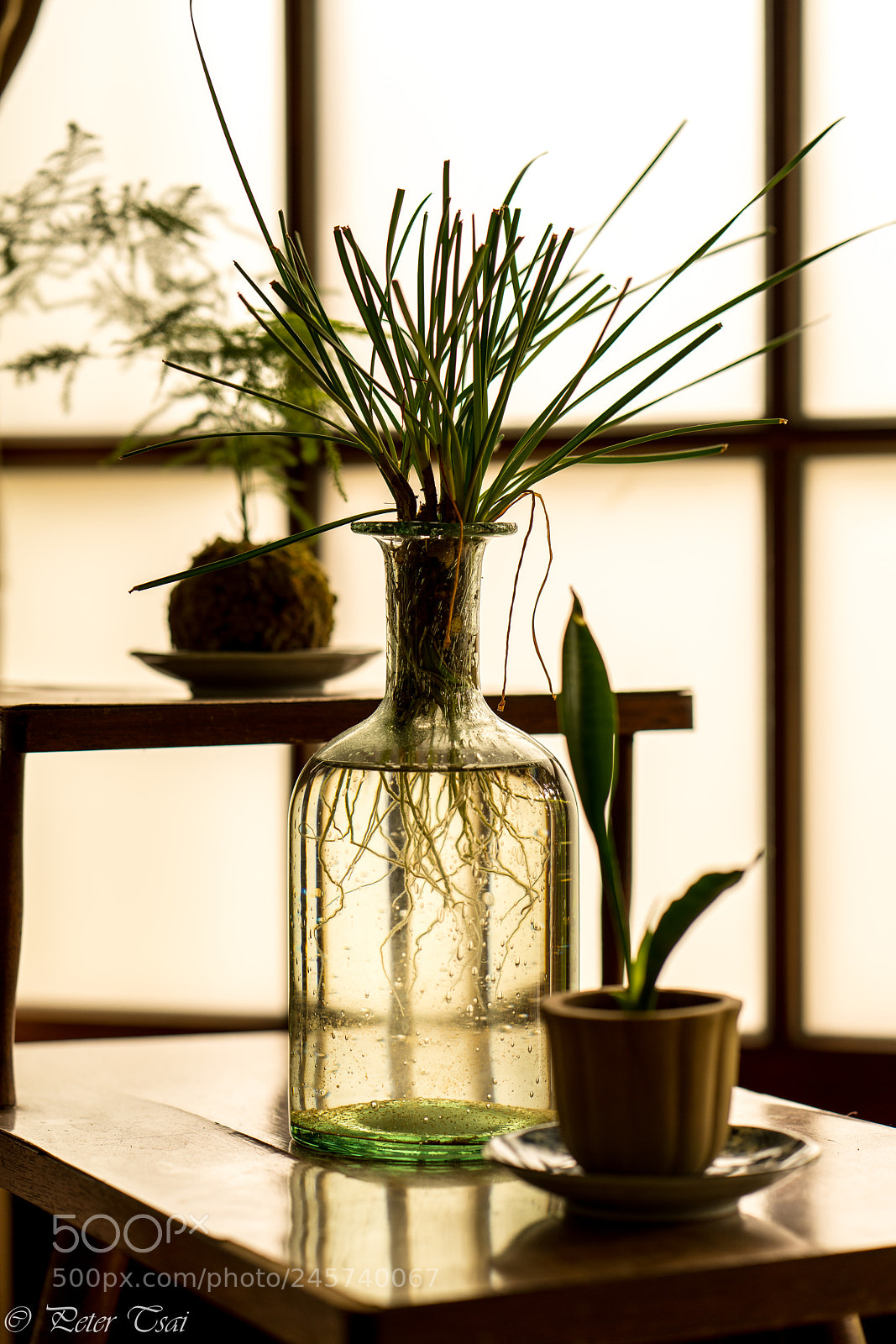 Sony a7R III sample photo. 府城 photography