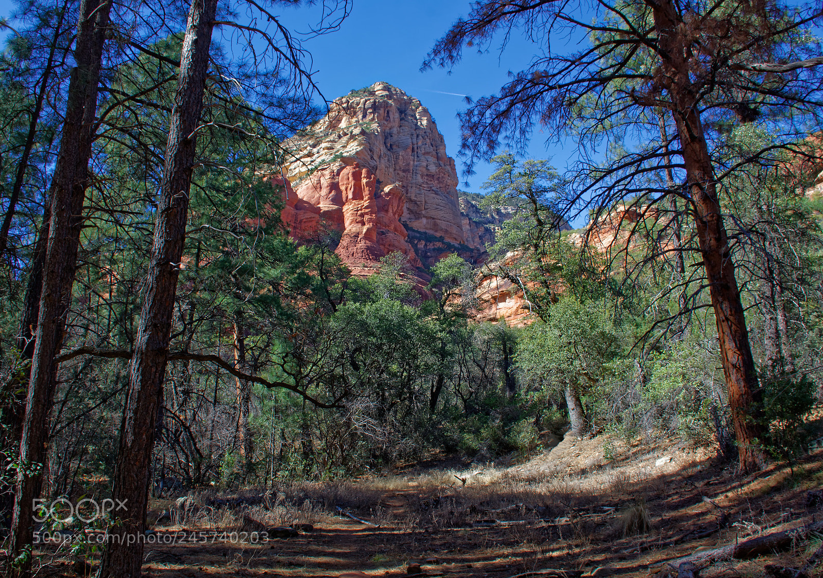 Nikon D7100 sample photo. Boynton canyon photography