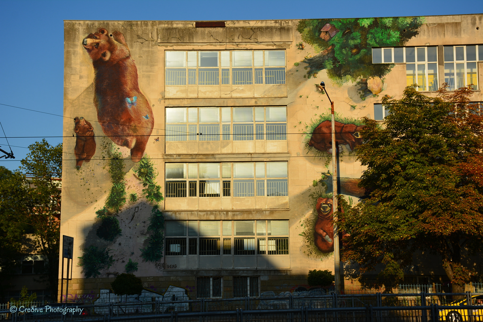 Nikon D5200 sample photo. Bears mural in sofia city photography