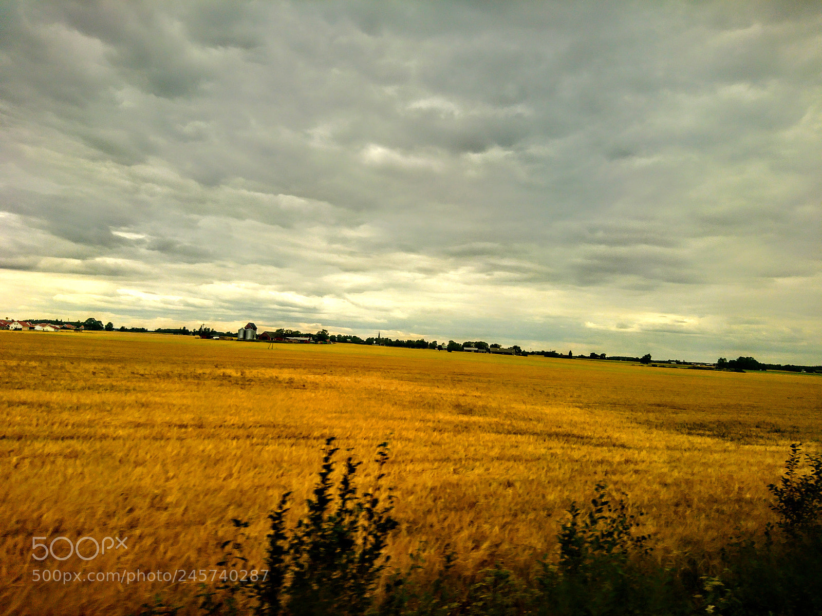 Sony Xperia X sample photo. Dsc photography