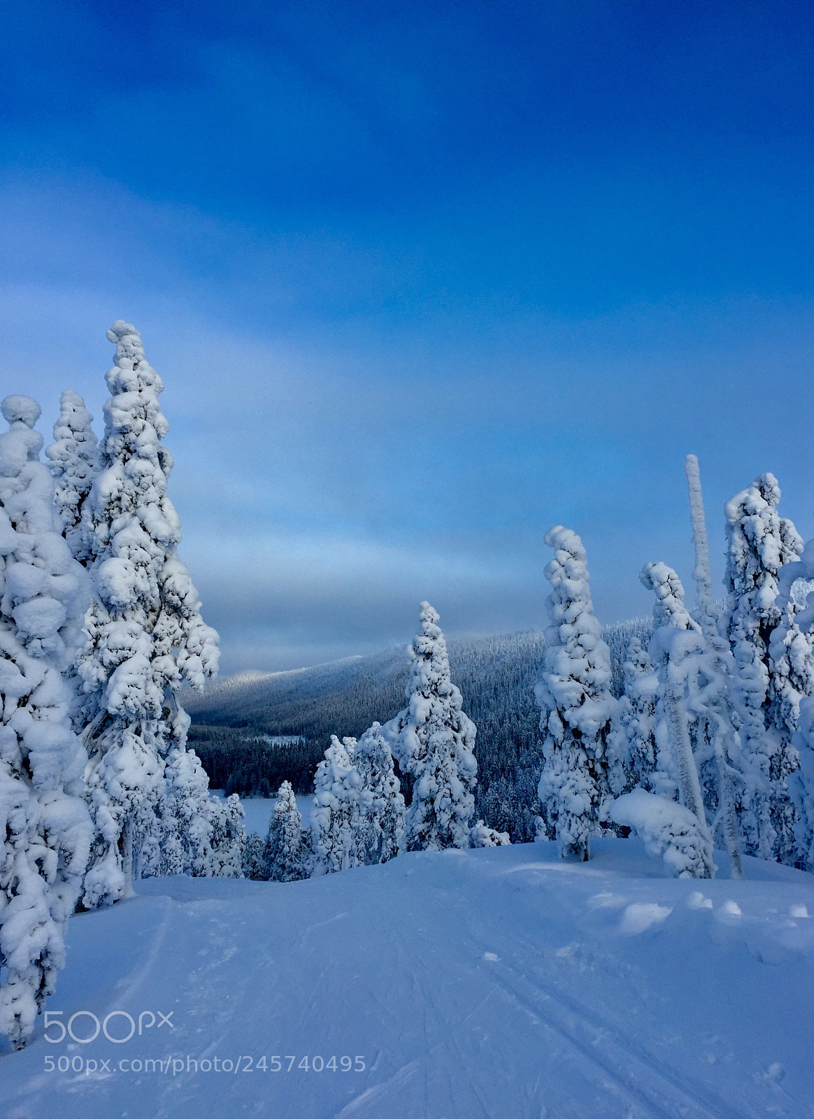 Apple iPhone 6 sample photo. Winterwonderland,kuusamo,finland photography