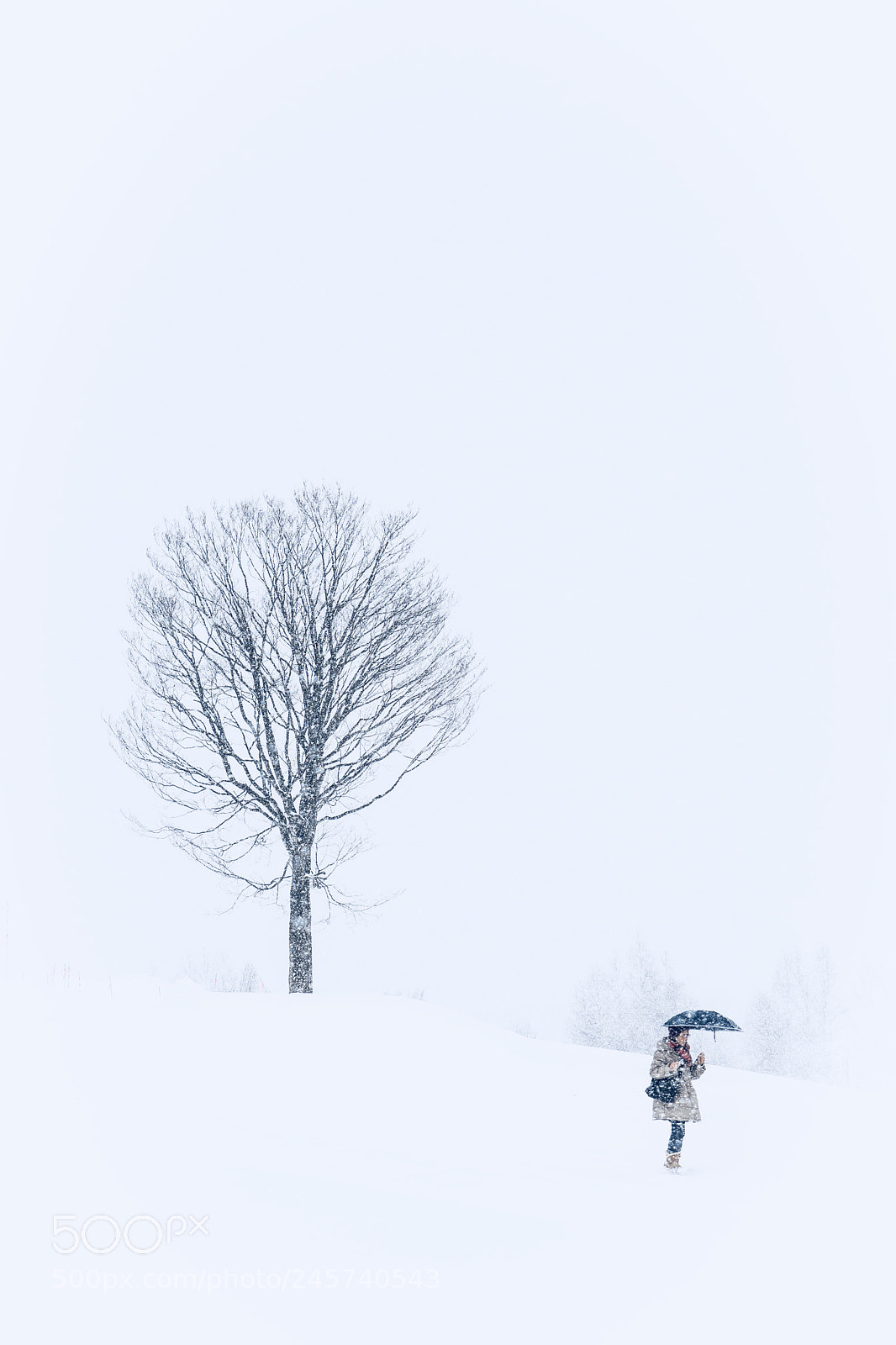 Nikon D7100 sample photo. 大雪中的美瑛 photography